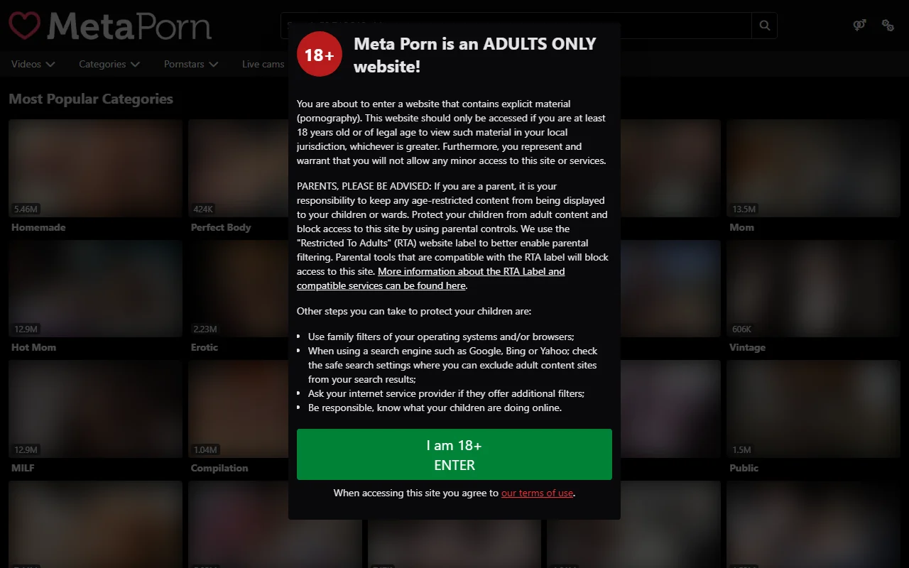 Screenshot of Metaporn